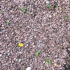 Meet your Posher, Romana